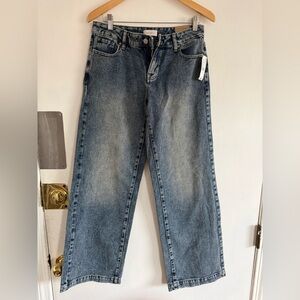 PacSun Casey Low Rise Blue Denim Jeans